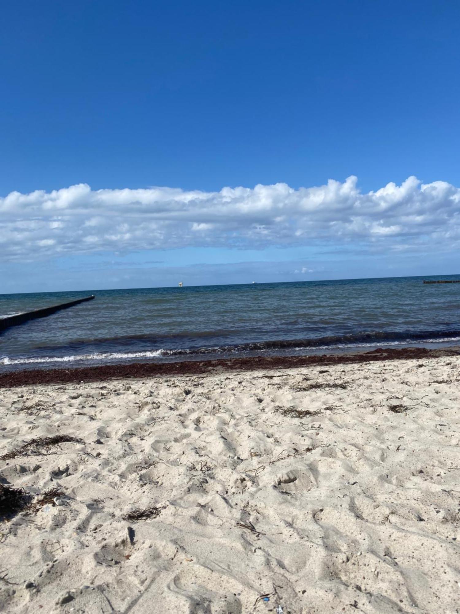 Ostsee-Ferienwohnung-Lipsia Ostseebad Nienhagen Exteriér fotografie